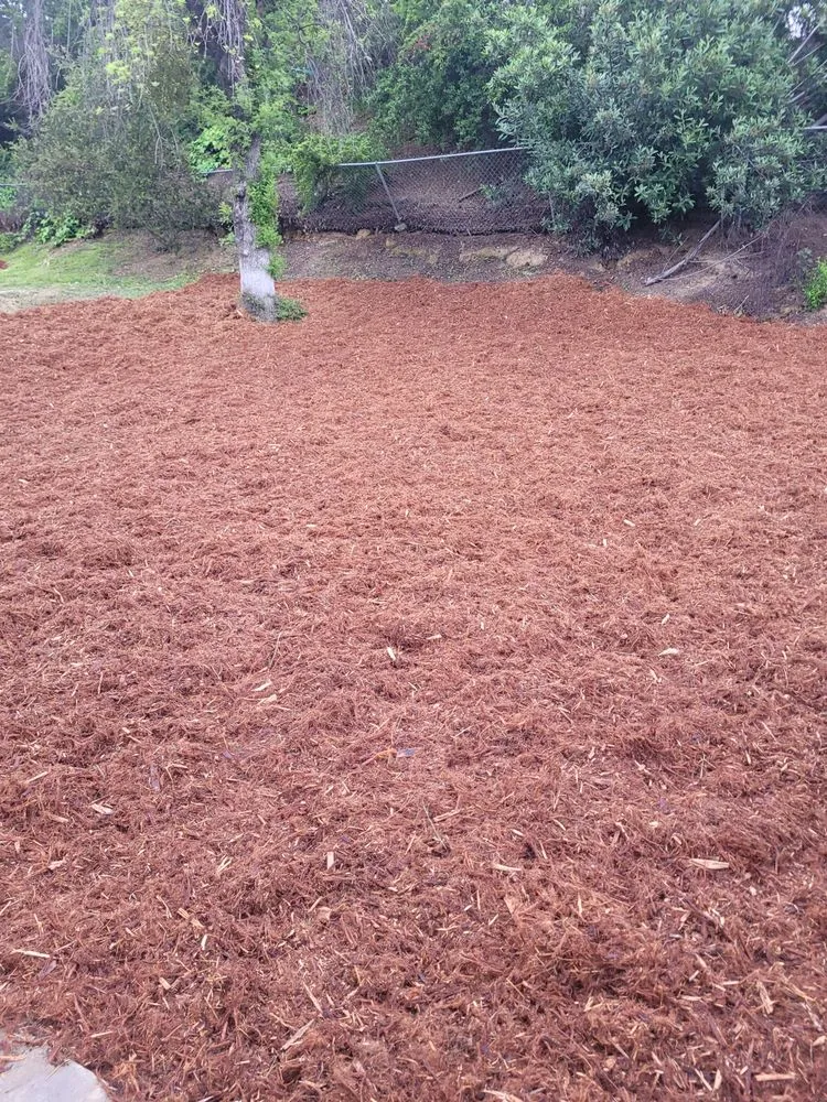 Professional landscape installation experts serving Decatur, TX - Larry's A1 Landscaping