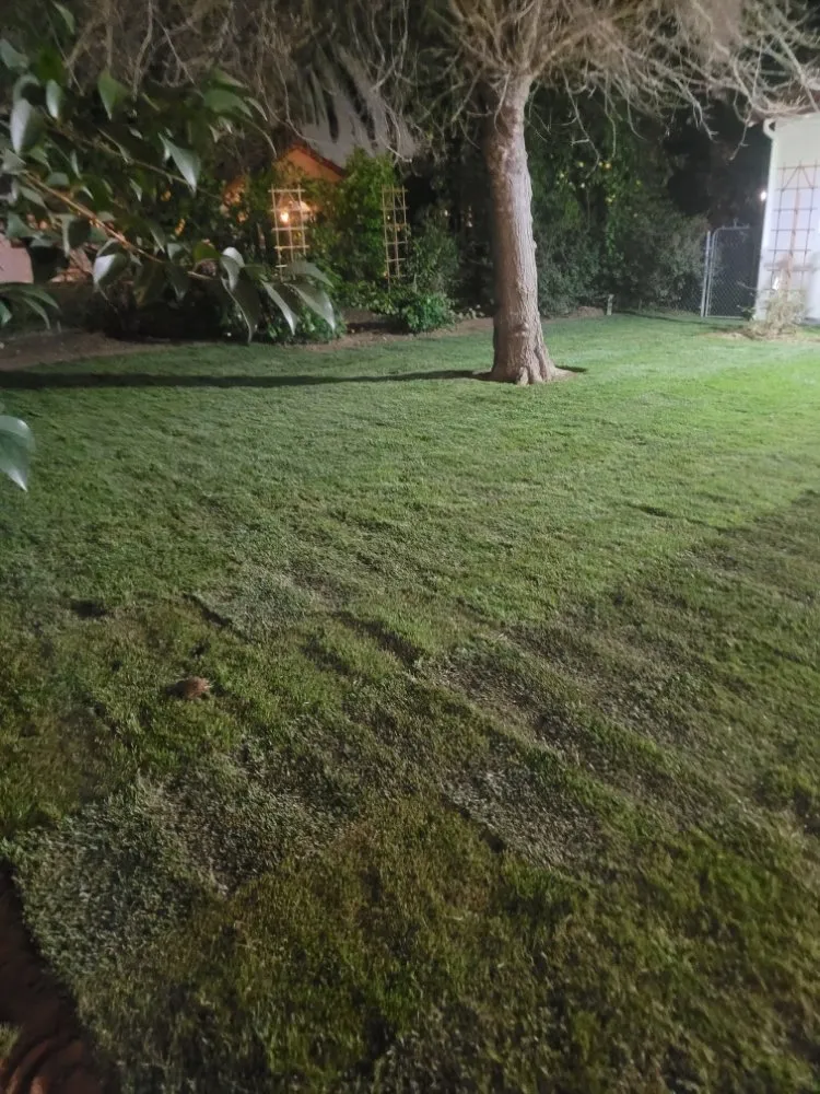 Reliable lawn mowing service near you across Decatur, TX - Larry's A1 Landscaping