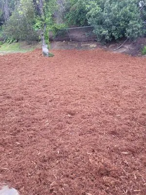 Larry's A1 Landscaping