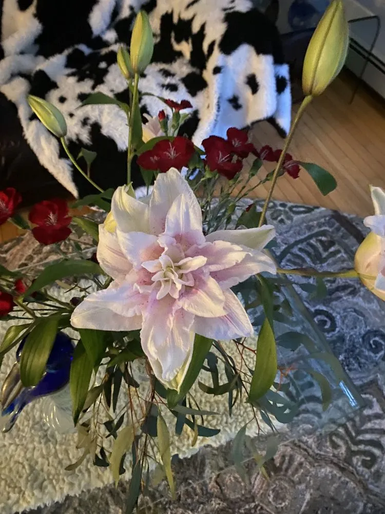 Top-rated landscape installation for outdoor upgrades in Bourne, MA by Larrys Landscape