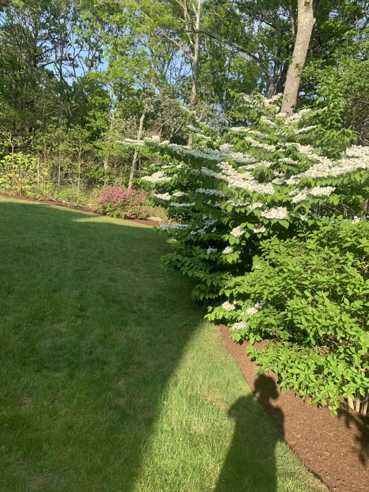 Custom outdoor landscaping in Bourne, MA by Larrys Landscape