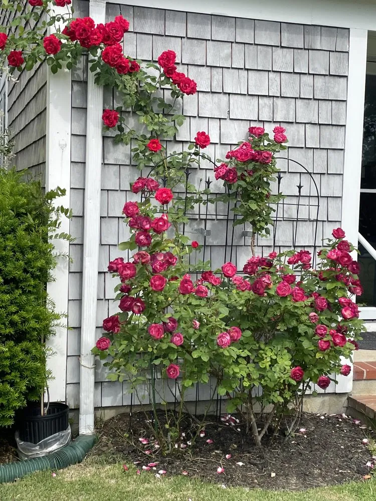 Reliable garden landscaping experts serving Bourne, MA - Larrys Landscape