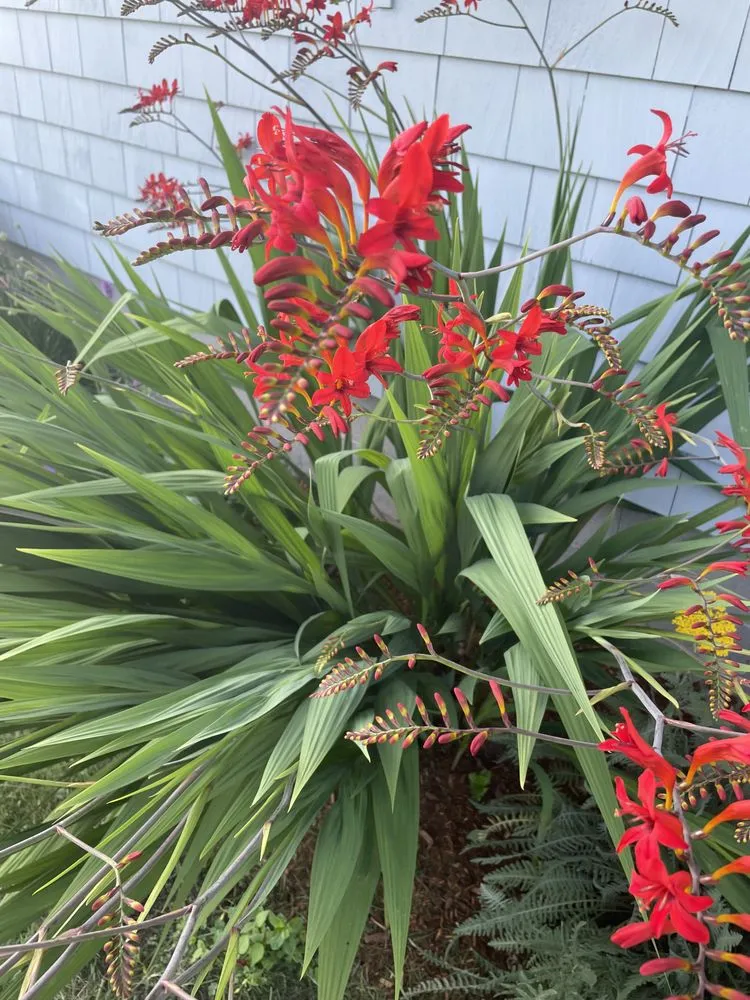 Reliable lawn mowing service near you across Bourne, MA - Larrys Landscape