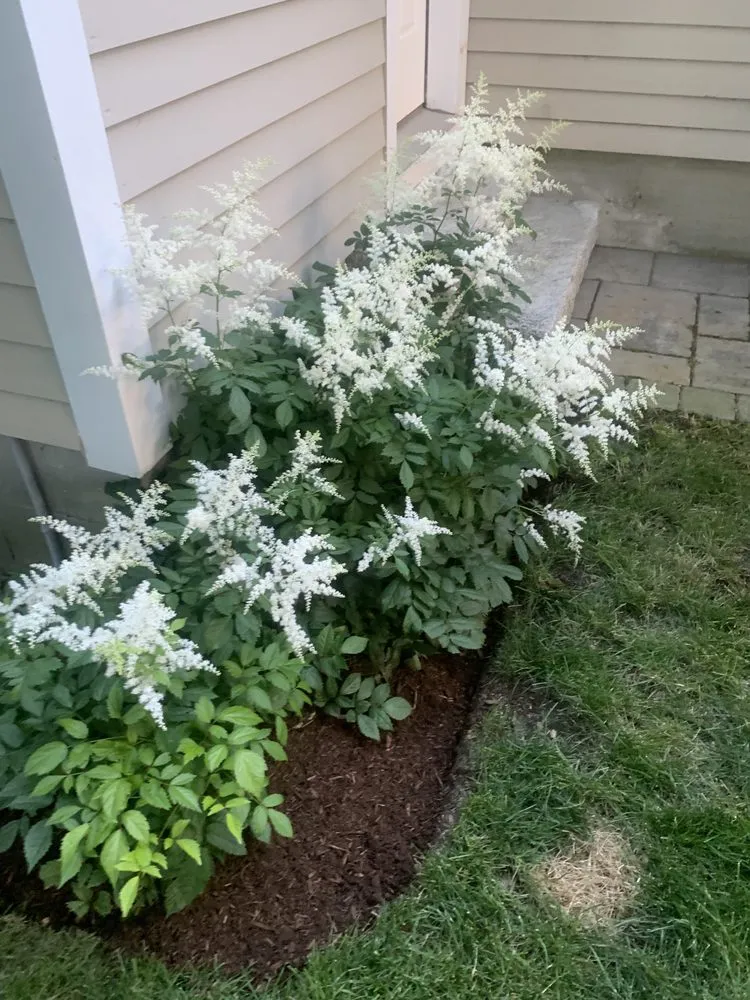 Affordable landscape design for beautiful yards in Bourne, MA by Larrys Landscape