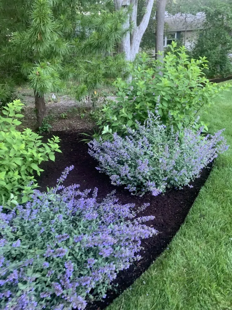 Professional yard cleanup service experts serving Bourne, MA - Larrys Landscape