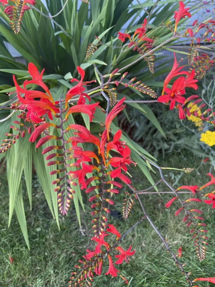 Affordable yard maintenance near you across Bourne, MA - Larrys Landscape