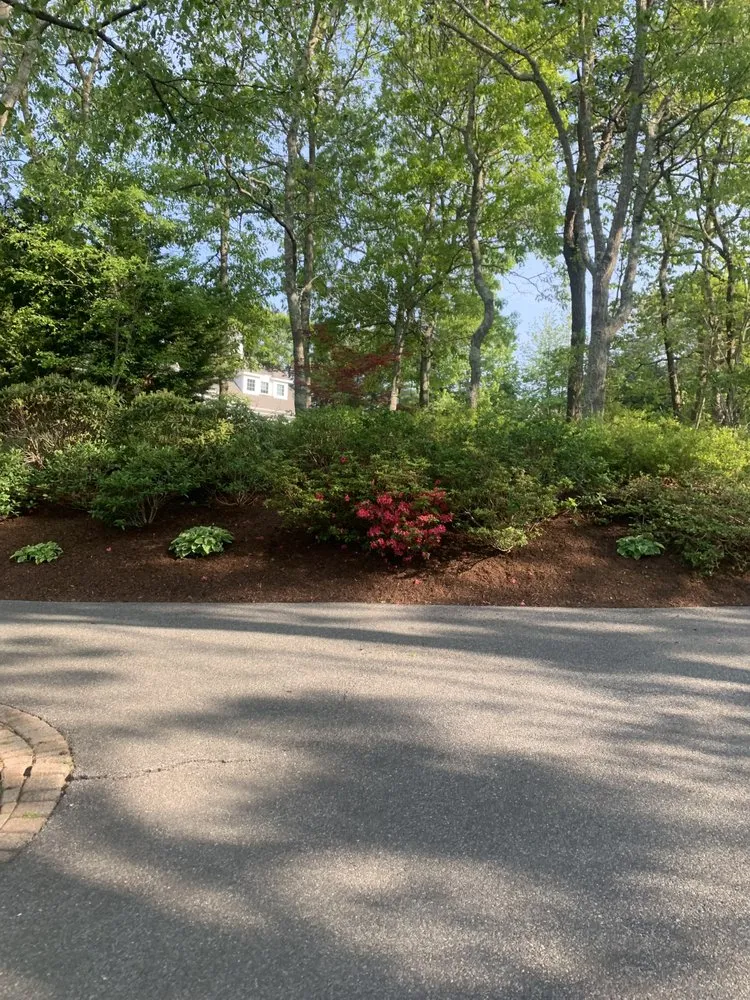 Professional yard cleanup service in Bourne, MA by Larrys Landscape