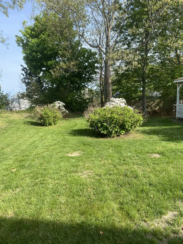 Reliable lawn care service for year-round maintenance in Wareham, MA by Larry’s Landscaping