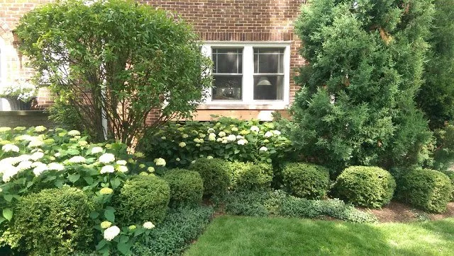 Professional landscaping services in Brookfield, IL by Larry's Lawn Care and Design