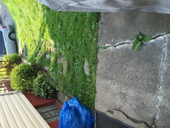 Expert lawn mowing service experts serving New Castle, PA - Larry's Lawn Care