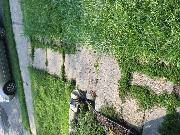 Expert garden landscaping for residential properties in New Castle, PA by Larry's Lawn Care