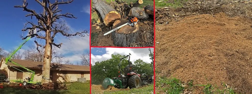 Reliable landscape installation for beautiful yards across Cumby, TX - Larry's Lawn Mowing Service
