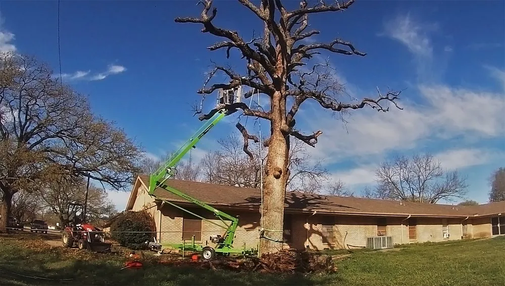 Expert landscape installation for homes in Cumby, TX by Larry's Lawn Mowing Service
