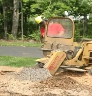 Trusted landscape design experts serving Grand Rapids, MI - Larry's Lawn Service And Snow Plowing