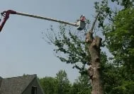 Larry's Lawn Service And Snow Plowing Logo