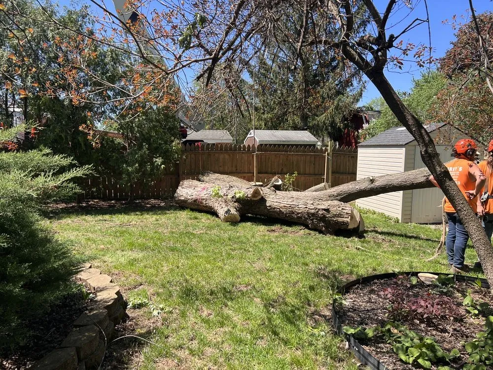 Local landscape design in Grand Rapids, MI by Larry's Lawn Service