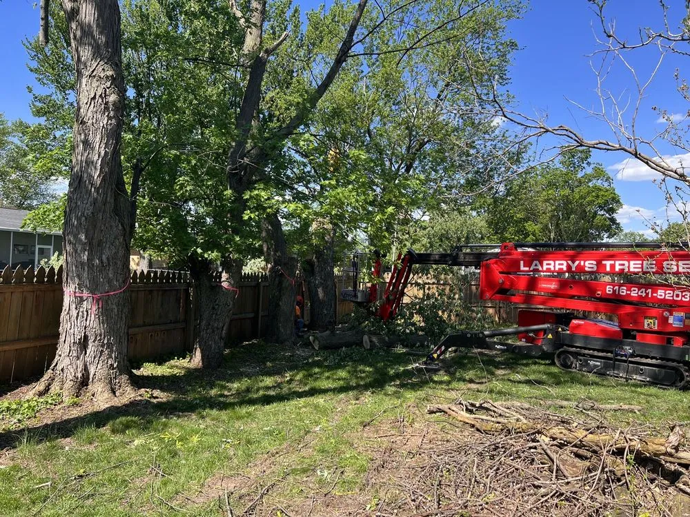 Local lawn mowing service for beautiful yards in Grand Rapids, MI by Larry's Lawn Service