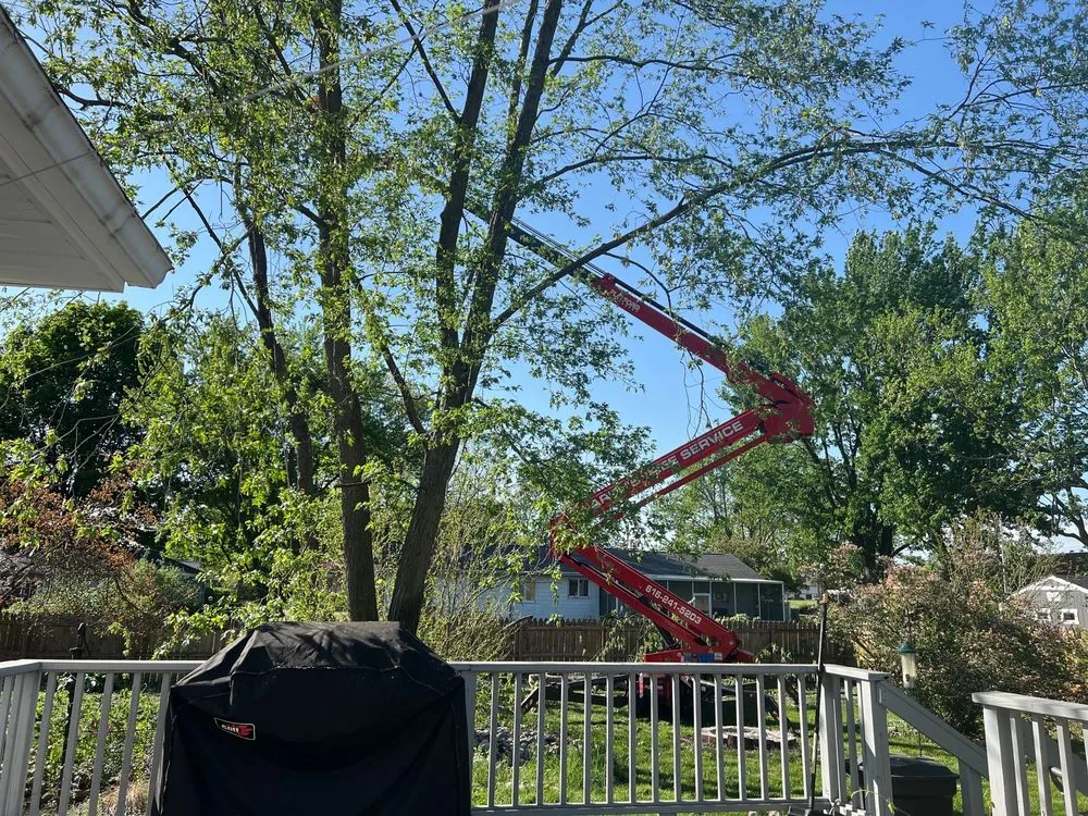 Affordable lawn mowing service experts serving Grand Rapids, MI - Larry's Lawn Service