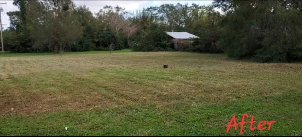 Trusted yard maintenance near you in Alafaya, FL by Larry's Mowing & Pressure Washing Services