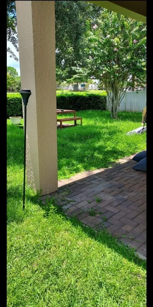 Custom landscape installation for outdoor upgrades in Alafaya, FL by Larry's Mowing & Pressure Washing Services