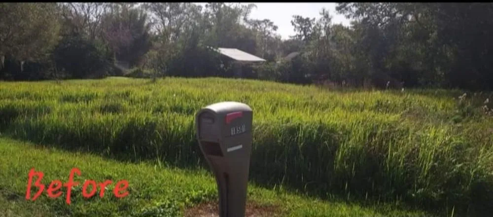 Reliable lawn mowing service in Alafaya, FL - Larry's Mowing & Pressure Washing Services