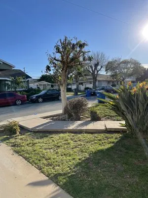 Larry's Tree Service