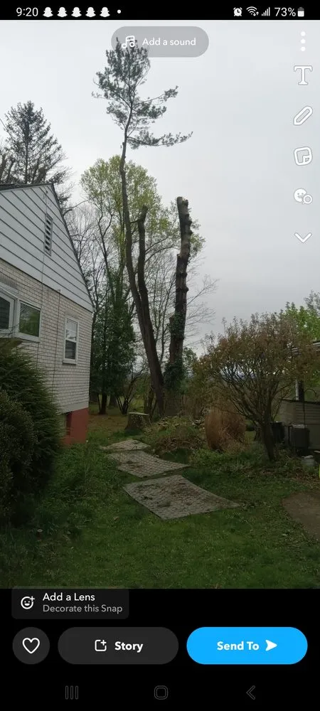 Professional landscape installation in Windber, PA - Larry's Tree Service