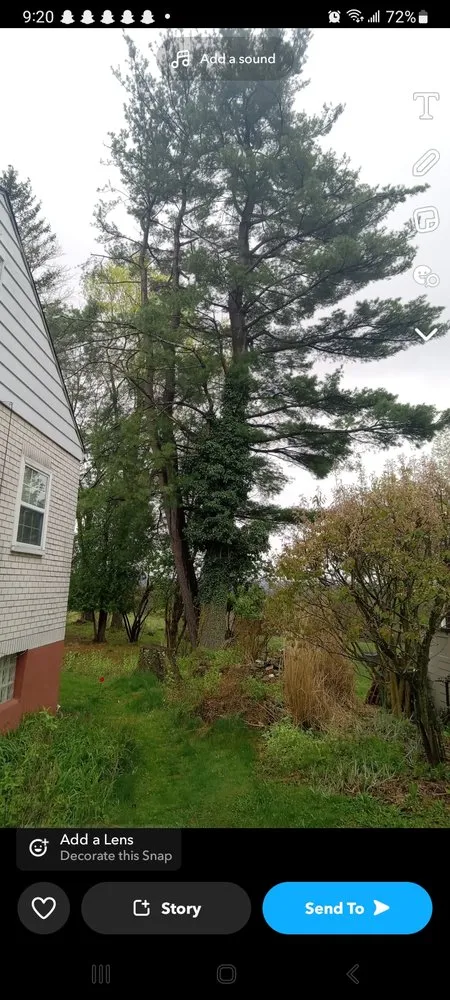 Top-rated landscape installation for homes in Windber, PA by Larry's Tree Service