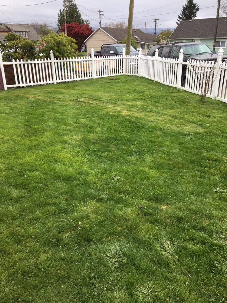 Affordable landscaping services in Tillamook, OR by Lars Landscape Maintenance