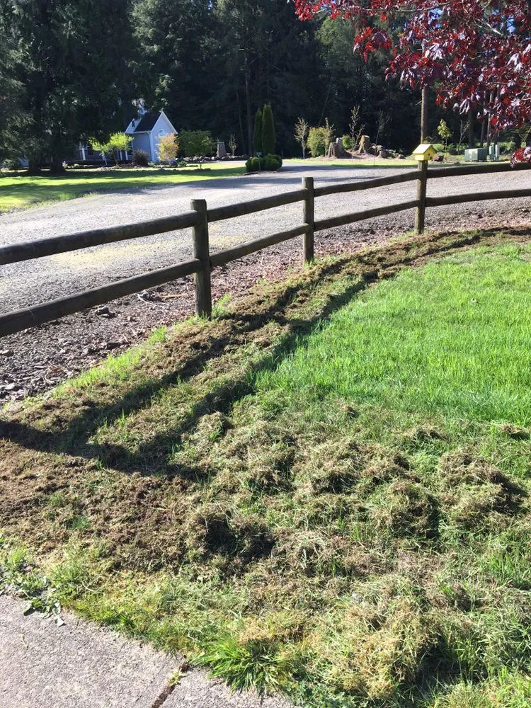 Top-rated landscape design for beautiful yards in Tillamook, OR by Lars Landscape Maintenance