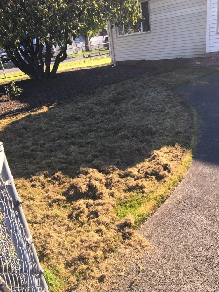 Affordable outdoor landscaping in Tillamook, OR - Lars Landscape Maintenance