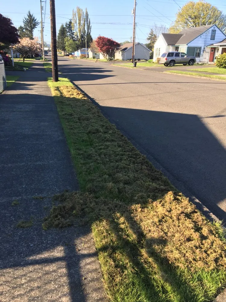 Custom yard maintenance for beautiful yards in Tillamook, OR by Lars Landscape Maintenance