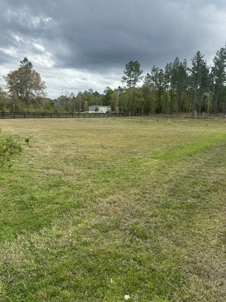 Top-rated outdoor landscaping experts serving Gainesville, FL - Larsen Landscaping and Consulting