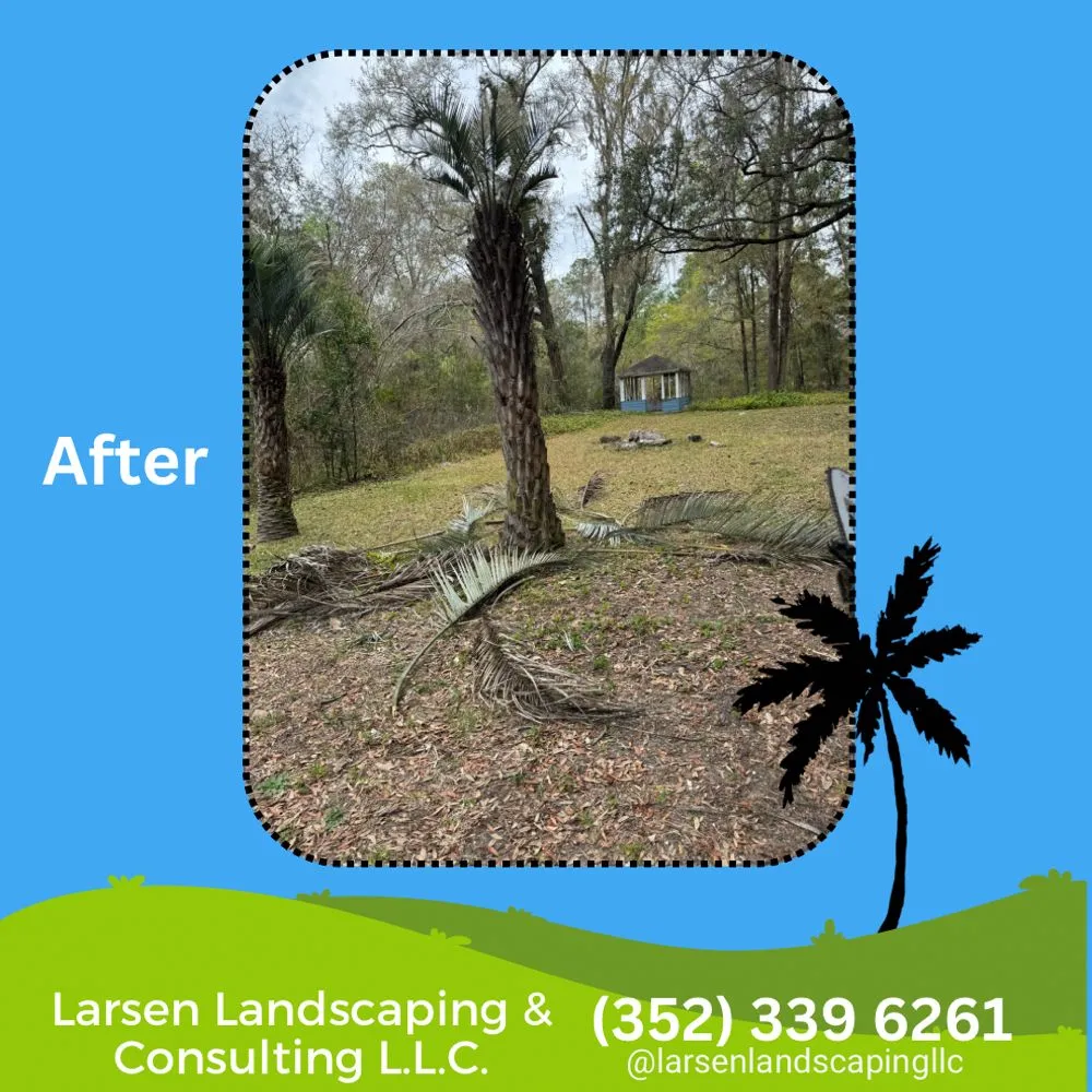 Trusted yard cleanup service in Gainesville, FL - Larsen Landscaping and Consulting