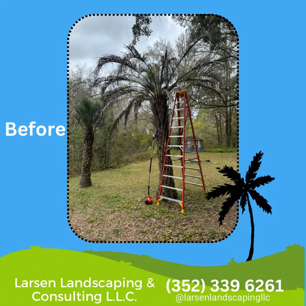 Top-rated outdoor landscaping near you across Gainesville, FL - Larsen Landscaping and Consulting