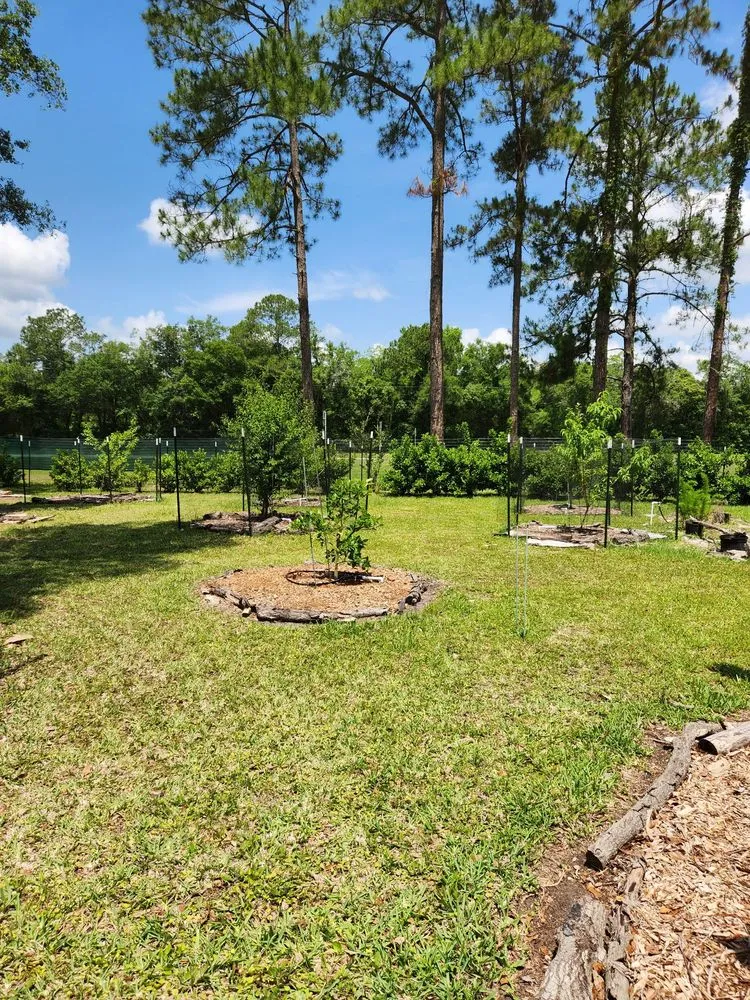 Local residential landscaping experts serving Gainesville, FL - Larsen Landscaping and Consulting