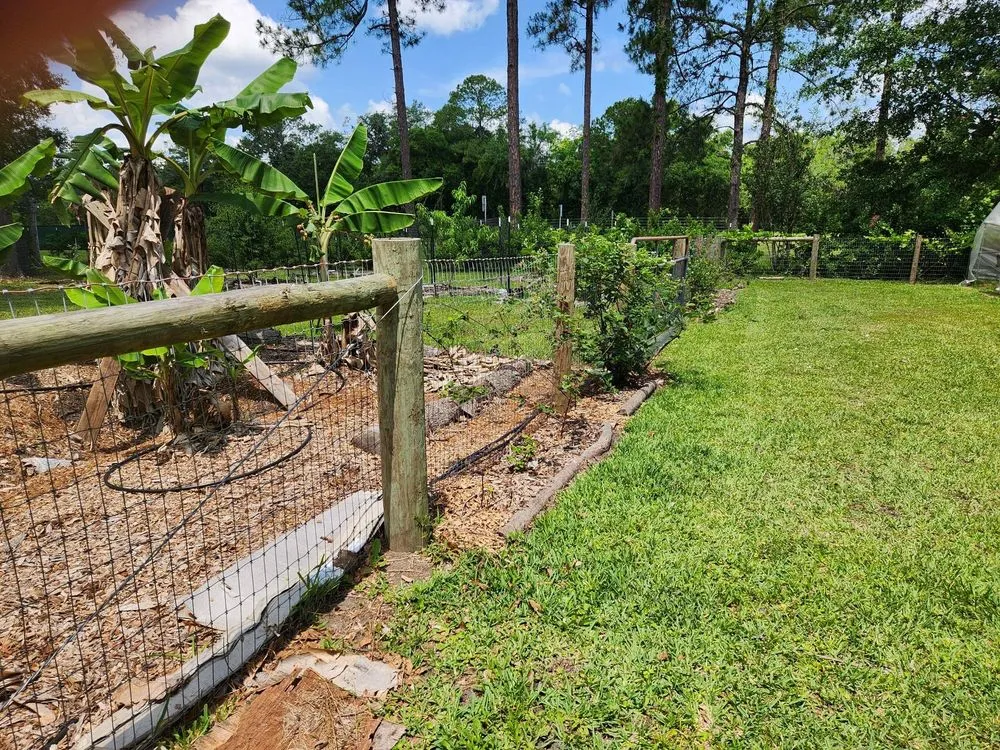 Local landscape design in Gainesville, FL - Larsen Landscaping and Consulting