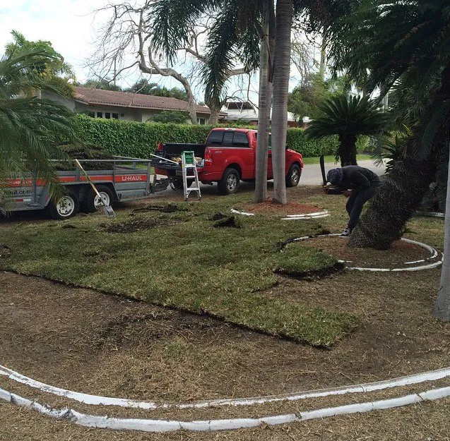 Reliable yard maintenance for outdoor upgrades in Tamarac, FL by Larsen Landscaping