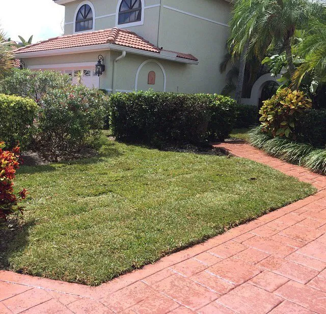 Reliable lawn care service in Tamarac, FL by Larsen Landscaping
