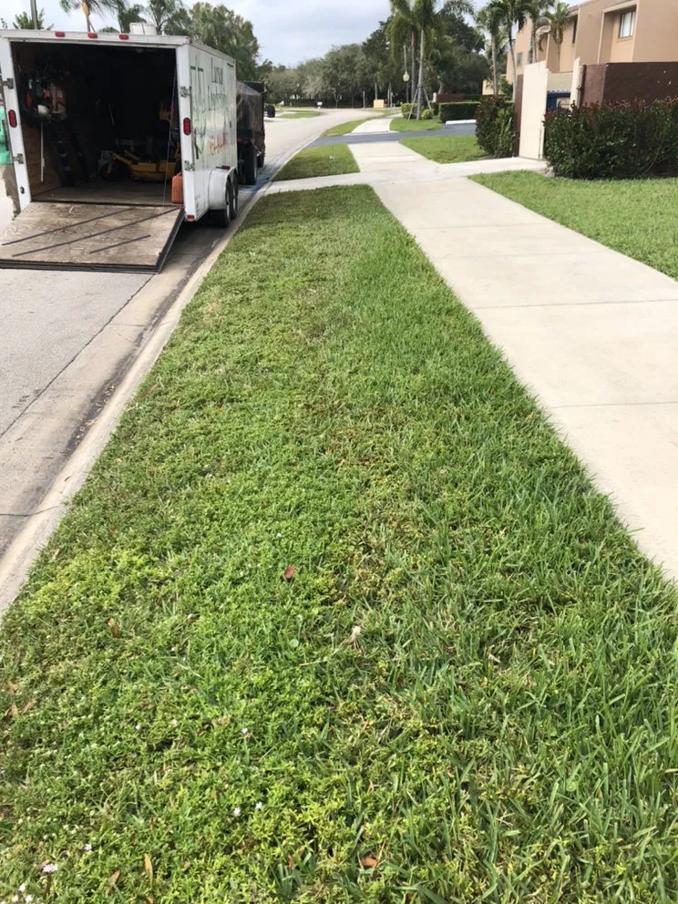 Professional yard cleanup service in Tamarac, FL by Larsen Landscaping