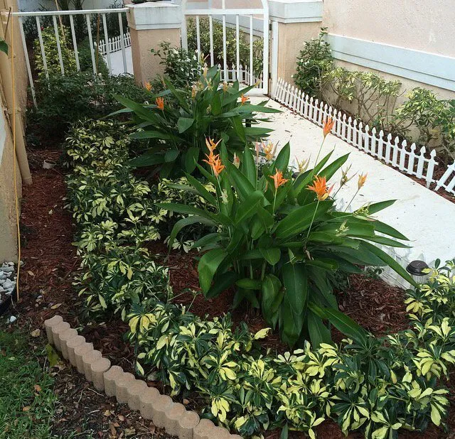 Expert yard maintenance for outdoor upgrades in Tamarac, FL by Larsen Landscaping