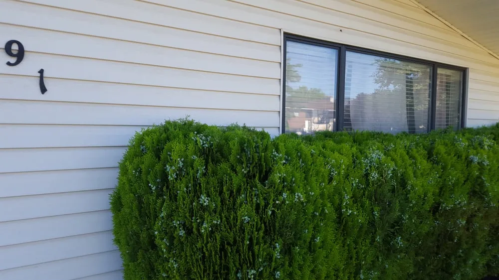 Custom lawn care service experts serving North Ogden, UT - Larsen Lawn Care