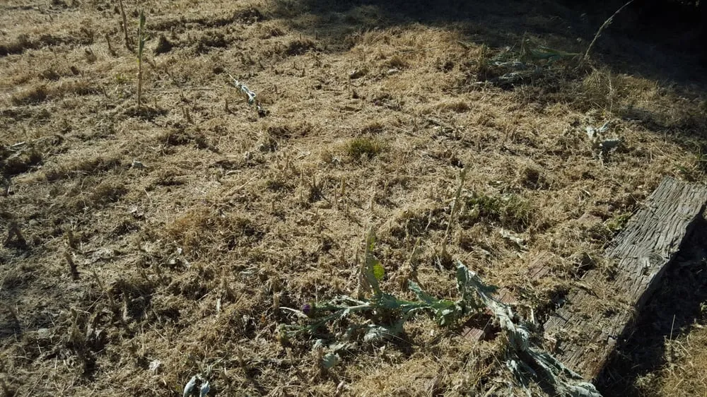 Affordable garden landscaping in North Ogden, UT - Larsen Lawn Care