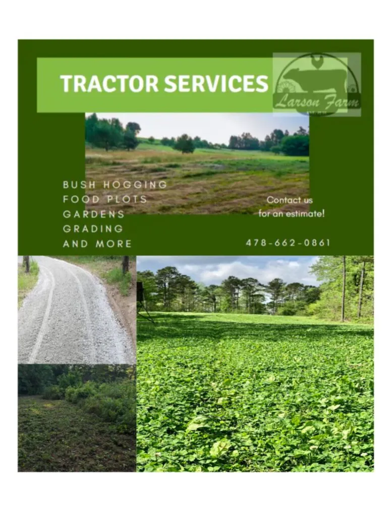 Professional residential landscaping for outdoor upgrades in Byron, GA by Larson Farm