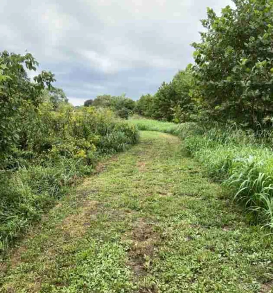 Trusted garden landscaping in Byron, GA - Larson Farm