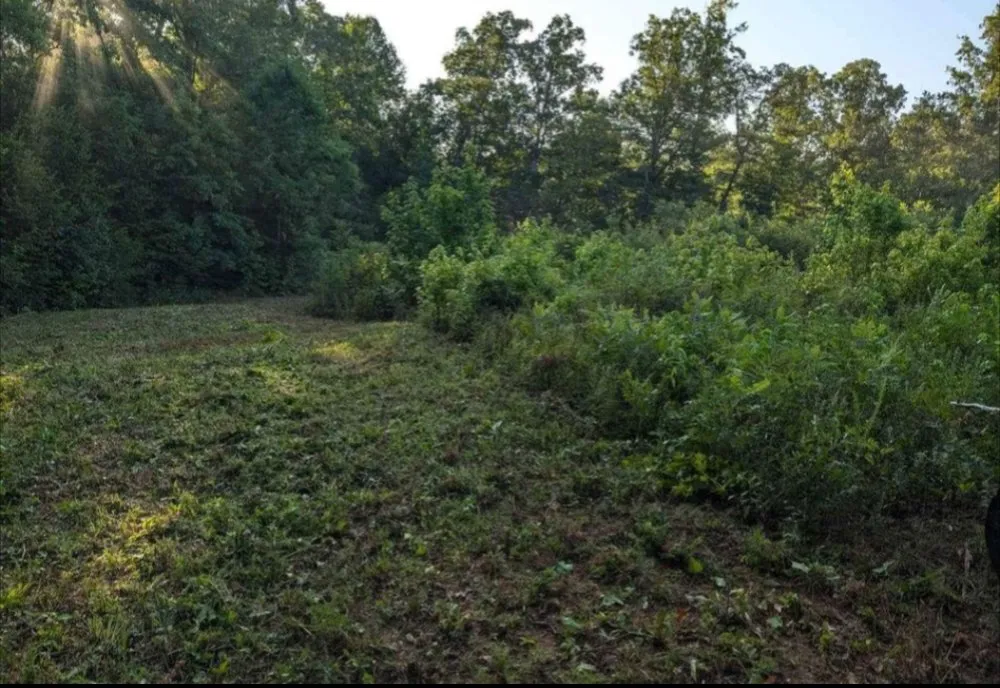 Top-rated landscape installation in Byron, GA by Larson Farm