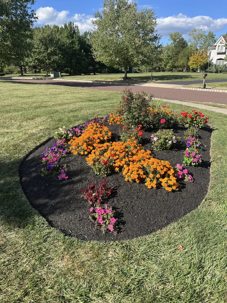 Local yard cleanup service experts serving Collegeville, PA - Larson Landscape