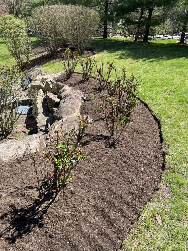 Local lawn care service in Collegeville, PA - Larson Landscape