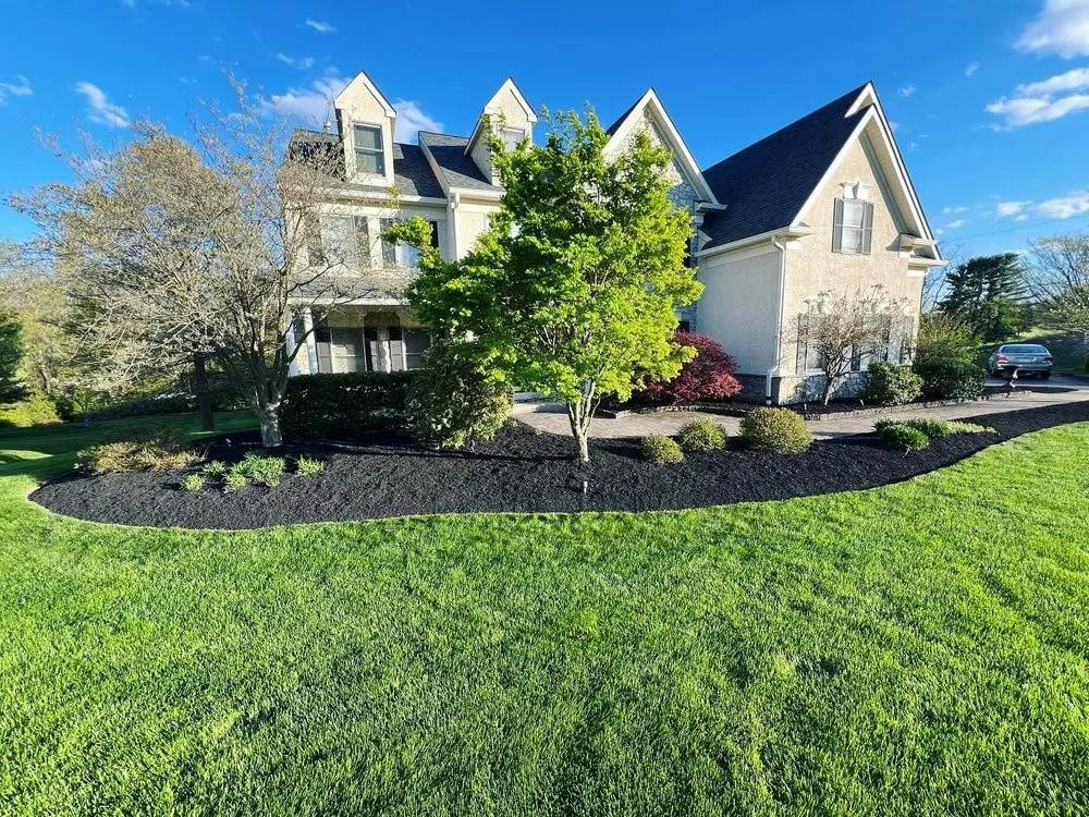 Trusted yard cleanup service in Collegeville, PA by Larson Landscape