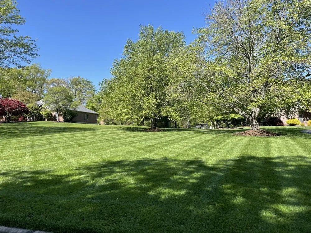 Affordable landscape design in St Charles, MO by Larson Lawn Care